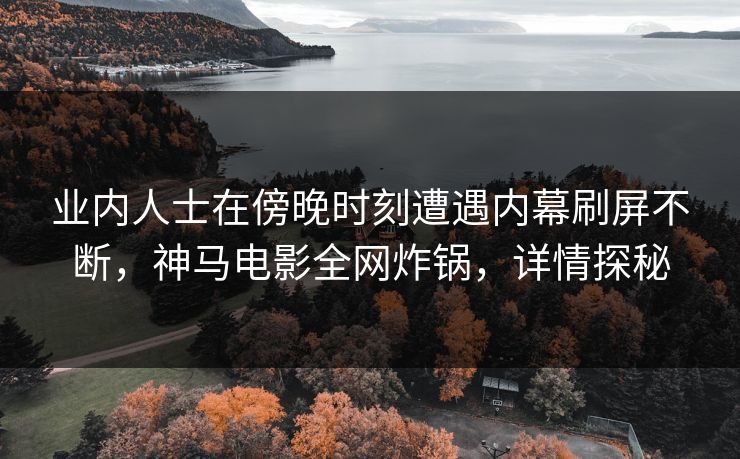 业内人士在傍晚时刻遭遇内幕刷屏不断，神马电影全网炸锅，详情探秘