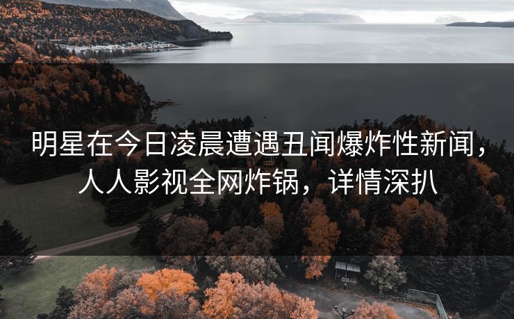 明星在今日凌晨遭遇丑闻爆炸性新闻，人人影视全网炸锅，详情深扒